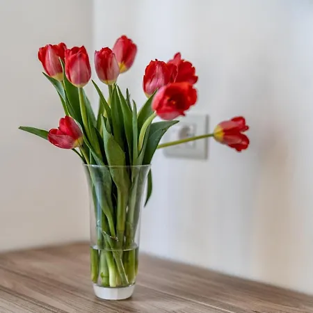 Apartament Casa Don Mimi